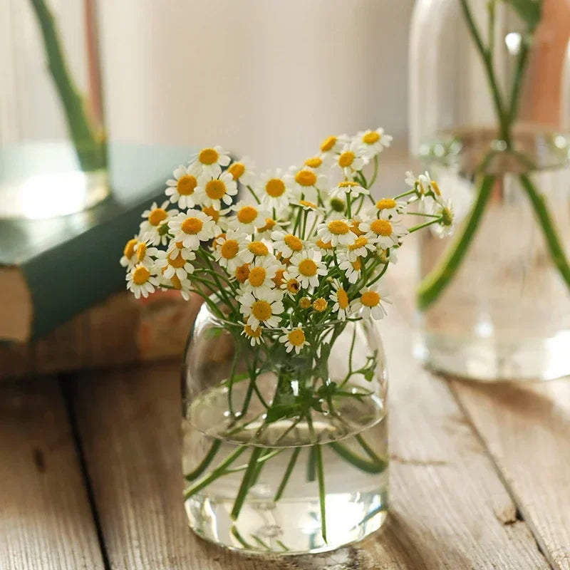 Clear Glass Tabletop Flower Vases